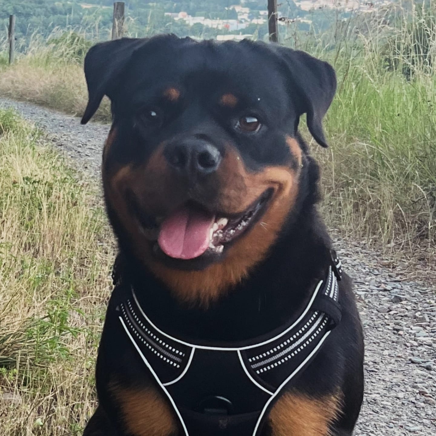 WhatsApp Image 202czc6-02-20 at 09.43.34.jpeg